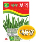 주식회사 유림씨엔에프 | 새싹 채소 / 새싹 보리 1kg : 유림씨앤에프