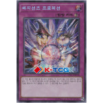 유희왕 한글판 매지션즈프로텍션 (LEC1-KR038) Secret 시크릿 : K-TCG