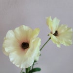 버터플라이 라넌큘러스 조화 실크플라워 : 미니메종