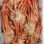 박달홍게 5kg 다리수율 80%이상 찜 당일발송 포항 구룡포 대게 자숙 수율보장 : 바이더수산