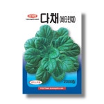 다채씨앗 비타민채종자 2000립 경신 : 삼대씨앗