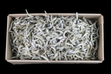 [꿀비상회] 남해안(통영•거제) 정치망멸치 1.5kg 고급멸치 안주용멸치 : 꿀비상회