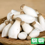 호산목장 새송이버섯 1kg (조림용) : 훈훈한삼촌