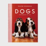 Dog Walter Chandoha photographs 도그 월터 찬도하 사진집 TASCHEN 타셴 : 어바웃아트