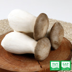 호산목장 새송이버섯 2kg (특) : 훈훈한삼촌