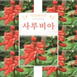 야생화 꽃씨 종자 사루비아 씨앗 1.5g : 농사농