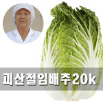 [마감] 속노랗고 맛있는 괴산 절임배추 20kg 햇배추 : 농사꾼과아지매