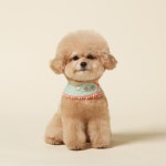 포독스 4DOGS 의류형 강아지하네스옷 양면하네스 치어스 옐로우&그린체크 리버서블하네스 가슴줄 (3차 재입고) : 포독스