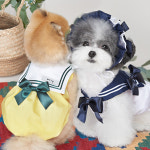 위드토리 이니셜 각인 세라 벌룬탑 강아지 티셔츠 애견 민소매 호박 원피스 봄 여름 옷 : PICKYSHOP 피키샵