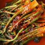 지리산 유기농 향긋한 참두릅 봄나물 1kg : 지리산 유기농 밥상