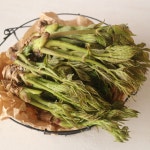 지리산 유기농 향긋한 참두릅 봄나물 1kg : 지리산 유기농 밥상