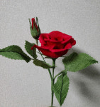 페이퍼플라워 장미만들기 : 물감과붓오브제