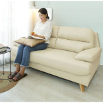 원룸투룸 좁은거실용 북유럽 2.5인용 가죽소파(2컬러) 모던 디자인 심플 : 자르파라