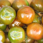 경남창원농장에서 기르고 수확한 흑토마토 2.8kg 가정용 선물용 : 뚜뚜장터