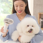 댕댕살롱 페페 드라이어 펫 드라이기 : 엘앤케이미디어