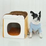 강아지집 귀여운 식빵 쿠션 하우스 (대형) 고양이 숨숨집 : 데일리독