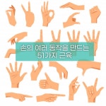 손근육키우기 손가락 손목 손재활 지압 전완근 스트레칭 운동 악력키우기 : 코코다모아
