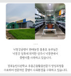 프리미엄 굼벵이환 3g x 60포 순도높은 100% 국내산 당찬굼 오픈기념 이벤트 : 낙동강 굼벵이 판매농장