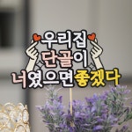 개업토퍼 자유문구토퍼 카페 식당 데코픽 : 위티작업실-위티토퍼