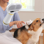 댕댕살롱 페페 드라이어 반려동물드라이기 펫드라이기 건조 사은까지 : 리빙톤 LIVINGTON