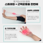 손근육키우기 손가락 손목 손재활 지압 전완근 스트레칭 운동 악력키우기 : 코코다모아