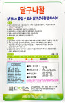 달구나찰 찰옥수수씨앗70립  피피에스 : 구씨네씨앗가게