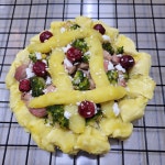 강아지 오리골드 피자 : 애견수제간식전문-테리네간식