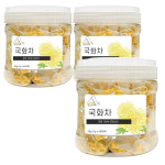권뱅푸드 국화차 삼각티백 50개입 : 좋은아침.
