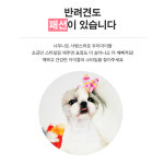 [P.Style Book] 프리미엄 트렌드 펫 스타일북_시츄 : 실버 라인