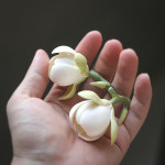 플라워 세라믹 인센스홀더 트레이 향꽂이 인센스받침 : 씨유썬데이