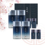 1+1 다나한 포맨 한방 기초 화장품 2종 스킨 280ml+60 로션 280ml+60ml : 행복앤쇼핑