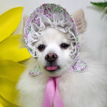 강아지모자 썬캡 퍼플라워 샤방캡 아소비진 : 꼴레트멍멍 스토어