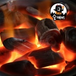 숯깨비 유칼립투스 비장탄 백탄 캠핑 펜션 장작 바베큐 구이용 업소용 대용량 참숯 : 숯깨비
