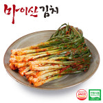 한국농협김치 전북 마이산김치 파김치 1kg : 예찬닷컴