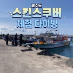 제주도 스킨스쿠버 체험 다이빙 : 디핀다이브
