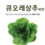 큐오레 유럽 상추씨앗 100립 펠렛 코팅 프리미엄 쌈채소 유럽상추씨 종자 : 씨앗팜