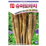 슈퍼도라지 씨앗 종자 6g 토종 도라지씨앗 : 농업전문 팜스마켓