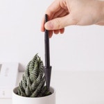 홈가드닝키트 키즈 가드닝 키트 선인장 분갈이 : 봉쥬르유미