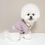 ★BIG SALE (M,L 사이즈)★강아지 가디건 큐티 카라 리치독 : 리치독