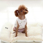 옐로우 펫 소파 켄넬 매트 강아지 침구 강아지 유모차 방석 : 펫식