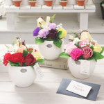 어버이날 비누꽃 카네이션 화분 부모님 선생님 스승의날 꽃 단체 선물 고마운마음 : 하루상점