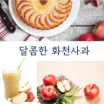 화천사과즙100  화천산사과즙 50포 진선미사과농원 : 화천농부들2023