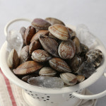 국산 제철 활바지락 생물 조개 왕 해감 바지락 : 맛꾼푸드