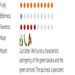 OMED ARBEQUINA 오메드 아르베키나 엑스트라 버진 스페인 올리브 오일 500ml : Coco jadu