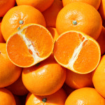 천하일품 제주 서귀포 명품 천혜향 가정용 선물세트 : 천하일품감귤농장