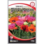 프릴드로즈꽃씨앗 100립 캘리포니아양귀비 : 삼대씨앗