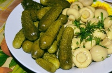 양송이버섯 못난이2kg 농가직송 빠른배송 품질비교불가 국내산볏짚배지재배 : 시골애양송이