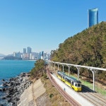 부산시티투어 KTX(해운대 해변열차-해동용궁사-아난티코브) 부산 당일치기 코레일기차여행 : 코레일 기차여행