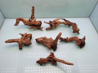 아프리카나 214 : 주현아쿠아