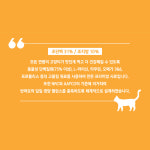 고양이 사료 대용량 캐츠랑 Libre 5kg x2개 10kg 길냥이 길고양이 아기 사료 : 파워도그